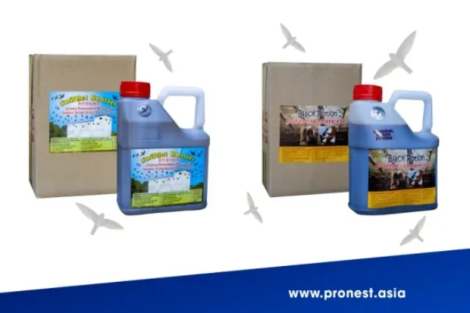 Dung dịch tạo mùi nhà yến thông dụng cho nhà chim